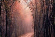 Bitcoin's Sudden Dip: Unpacking the Panic & What it Means for Crypto's Future