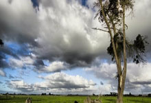 Bitcoin's Sudden Dip: Unpacking the Panic & What it Means for Crypto's Future