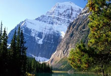 Bitcoin's Sudden Dip: Unpacking the Panic & What it Means for Crypto's Future