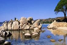 Bitcoin's Sudden Dip: Unpacking the Panic & What it Means for Crypto's Future